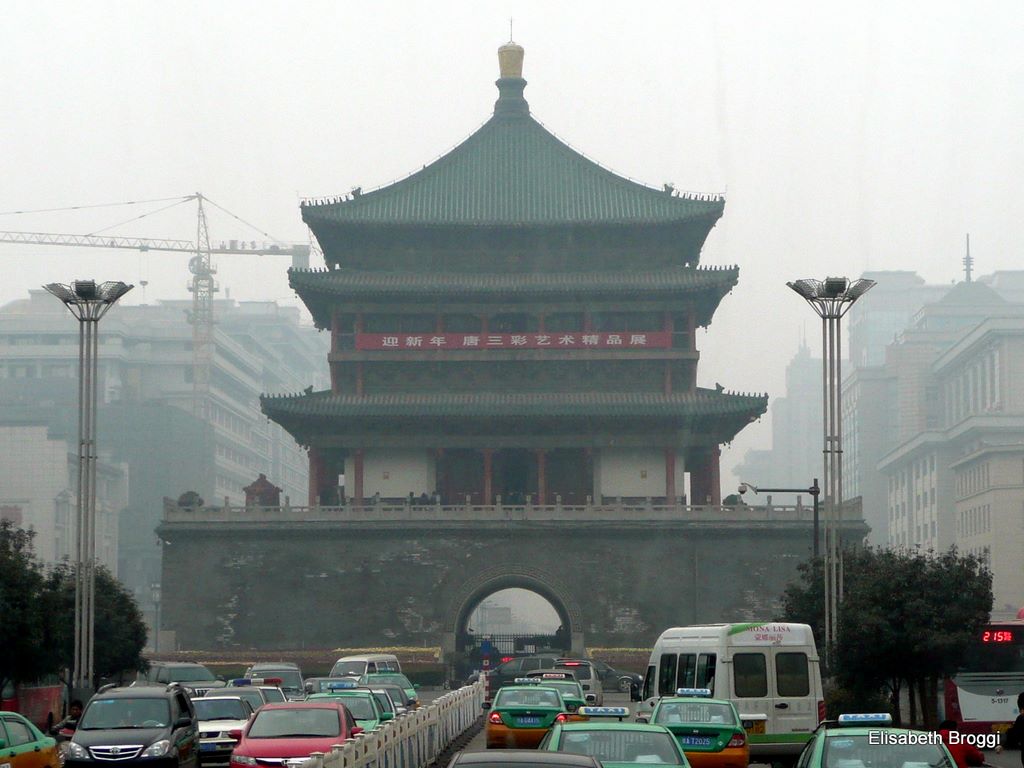 p1170470.jpg (large)